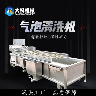 果蔬氣泡清洗機(jī)全自動蔬菜高壓噴淋清洗設(shè)備不銹鋼水果藥材清洗機(jī)