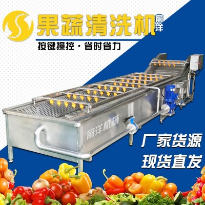 全自動果蔬氣泡清洗機(jī) 噴淋式氣泡清洗機(jī) 不銹鋼葉菜大棗清洗線