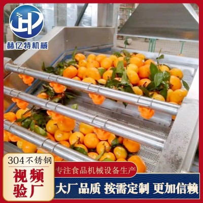 商用食堂不銹鋼果蔬清洗機 蔬菜大棗氣泡清洗機 多功能海帶洗菜機