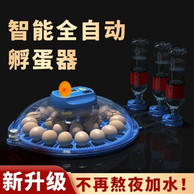 批發(fā)孵化機(jī) 智能孵化箱小型家用孵化器小雞鴨鵝孵化箱鴿子 孵蛋器