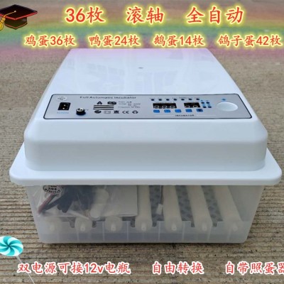 孵化機(jī)家用 滾軸雞鴨鵝卵蛋36枚孵蛋小型迷你孵化箱全自動(dòng) 孵蛋器