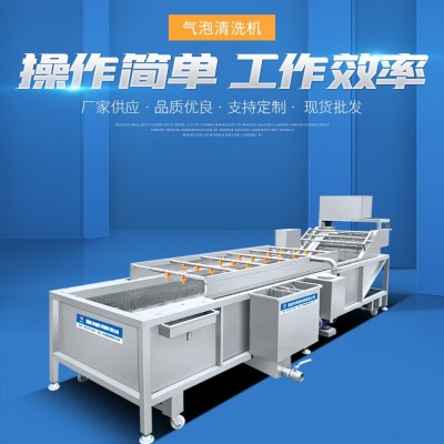 大型蔬菜清洗機(jī) 多功能全自動氣泡清洗機(jī) 噴淋式果蔬加 工設(shè)備