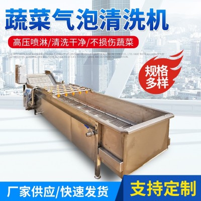 蔬菜氣泡清洗機(jī) 噴淋式果蔬清洗機(jī)設(shè)備 大姜竹筍全自動(dòng)氣泡清洗機(jī)