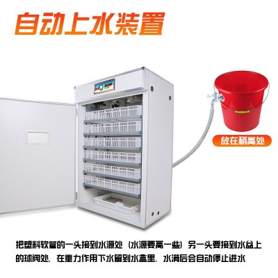全自動雞蛋孵化器智能家用孵化機家禽孵蛋器養(yǎng)殖孵化箱鴿子卵化機