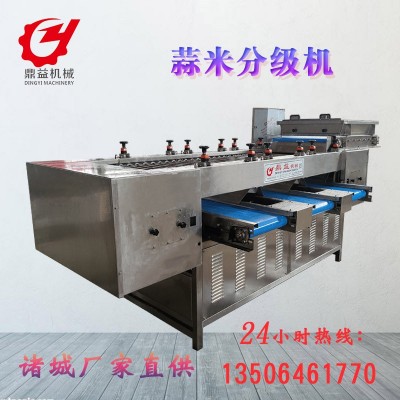 蒜米分揀分選機設(shè)備 大型蒜瓣分選機 篩選設(shè)備廠家直供