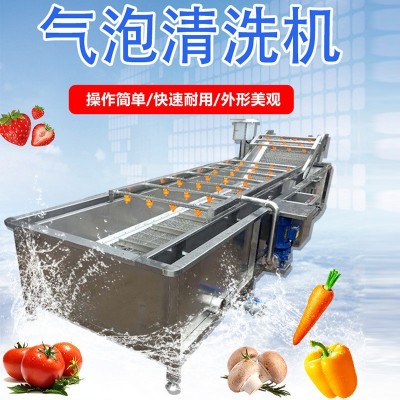 水果蔬菜氣泡清洗機(jī)全自動果蔬清洗機(jī) 噴淋式玉米秋葵氣泡清洗機(jī)