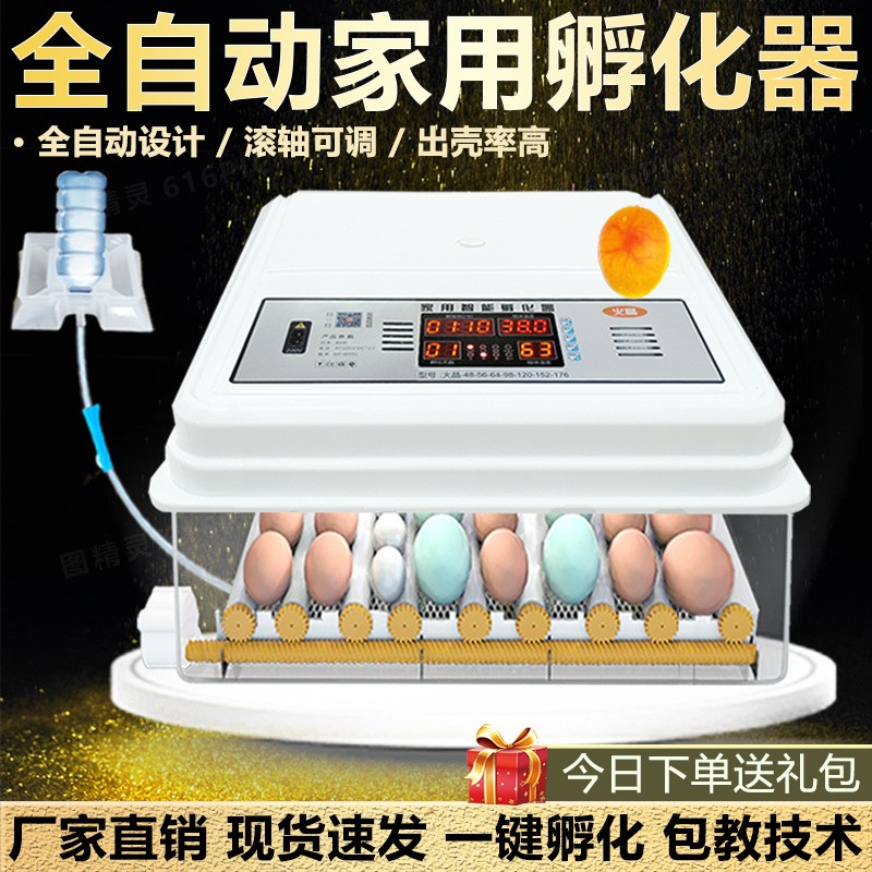 孵化器全自動(dòng)家用小型塑料殼孵化機(jī)家用孵化箱雞鴨鵝鴿子蛋孵化器