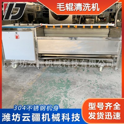 全自動(dòng)毛輥清洗機(jī) 土豆芋頭山藥清洗去泥機(jī) 小龍蝦毛輥清洗設(shè)備