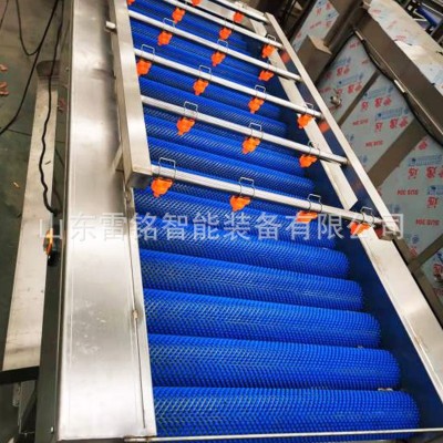 全自動(dòng)紅薯清洗機(jī) 氣泡沖浪噴淋洗菜機(jī) 根莖類蔬菜清洗風(fēng)干線