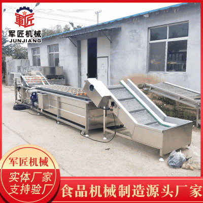 全自動大型果蔬氣泡清洗機 萵筍高壓噴淋果蔬清洗機 蕓豆清洗設(shè)備