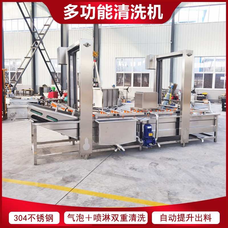 玫瑰花氣泡清洗機(jī) 桃子去毛去雜噴淋清洗機(jī) 四川菊花鼓泡清洗設(shè)備