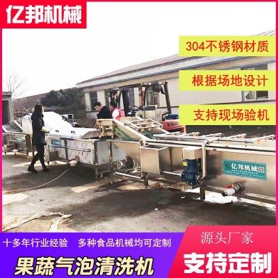 商用蔬菜氣泡清洗機 全自動辣椒枸杞橘子果蔬清洗機 凈菜加工設備