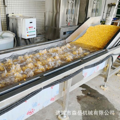 水果玉米全自動(dòng)蒸煮機(jī)漂燙機(jī) 海鮮食品蒸煮冷卻線中藥材蒸煮機(jī)