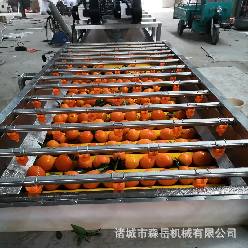廠家全自動(dòng)水果清洗打蠟機(jī)拋光機(jī) 橘子沃柑洗果機(jī)