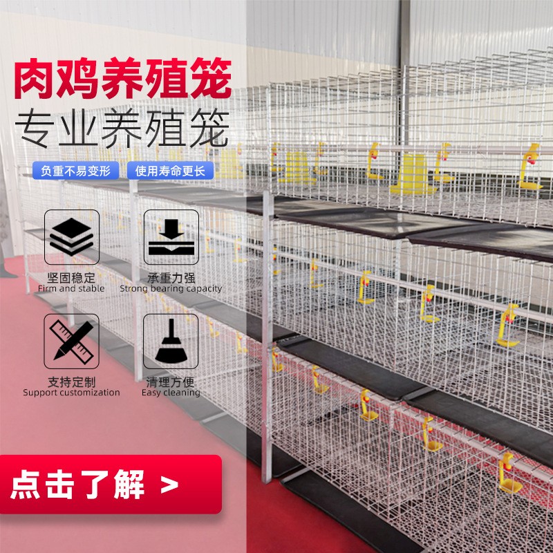 三層兩門立體式肉雞籠鋼絲網(wǎng)養(yǎng)殖設(shè)備雞籠子配件H型層疊式肉雞籠