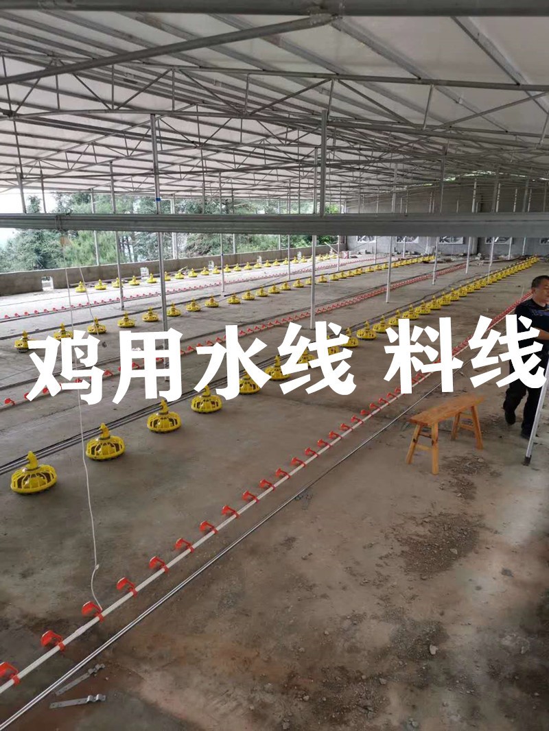 雞用自動(dòng)水線 肉雞料線 散養(yǎng)雞自動(dòng)水線 料線 雞用水線 雞用料線