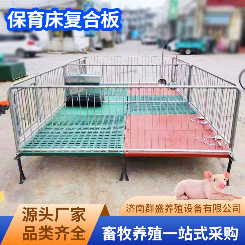 養(yǎng)豬場(chǎng)保育床復(fù)合板帶加熱保溫板牲畜母豬產(chǎn)床熱鍍鋅管焊接