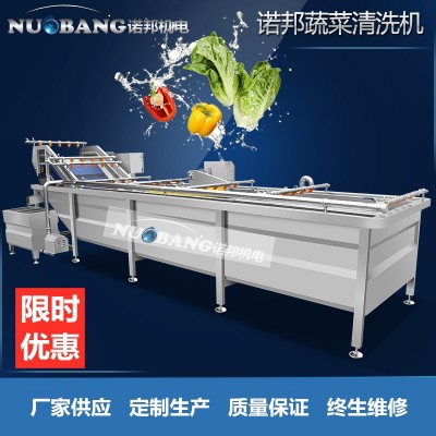 廠家銷售檸檬片清洗機 全自動氣泡噴淋果蔬清洗機 藍(lán)莓果洗果機