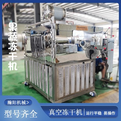 冷凍真空干燥機(jī)玫瑰花凍干設(shè)備果蔬真空干燥機(jī)機(jī)真空凍干機(jī)冷干機(jī)