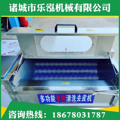 雞腿毛輥清洗機(jī) 海鮮貝類去雜去泥清洗機(jī) 魚類去魚鱗毛輥清洗機(jī)