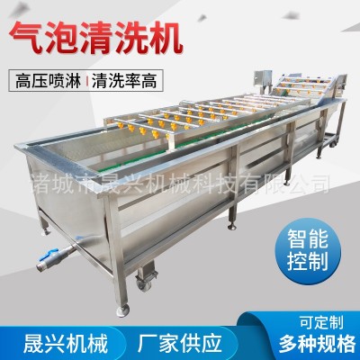定制全自動氣泡清洗機 白菜萵筍氣泡清洗設(shè)備 高壓噴淋大姜洗菜機