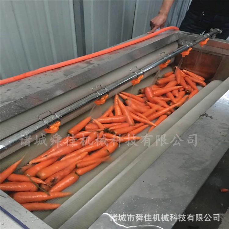 牛蒡葛根毛刷清洗機 胡蘿卜去雜毛輥清洗機 地黃去皮清洗設(shè)備