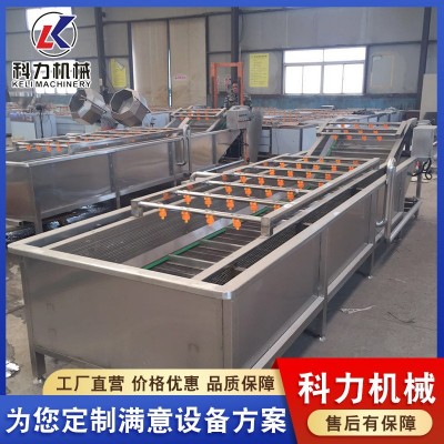 氣泡清洗機(jī)自動(dòng)洗魚機(jī) 魚類自動(dòng)清洗設(shè)備 不銹鋼氣泡清洗線