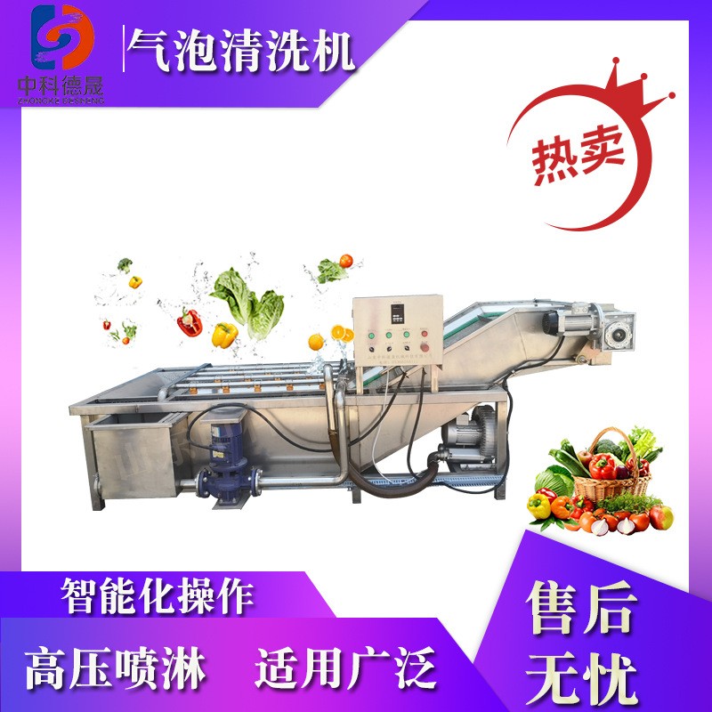 圓蔥瑪卡可提升高壓噴淋清洗機辣椒扁豆液壓升降清洗設(shè)備品牌廠家