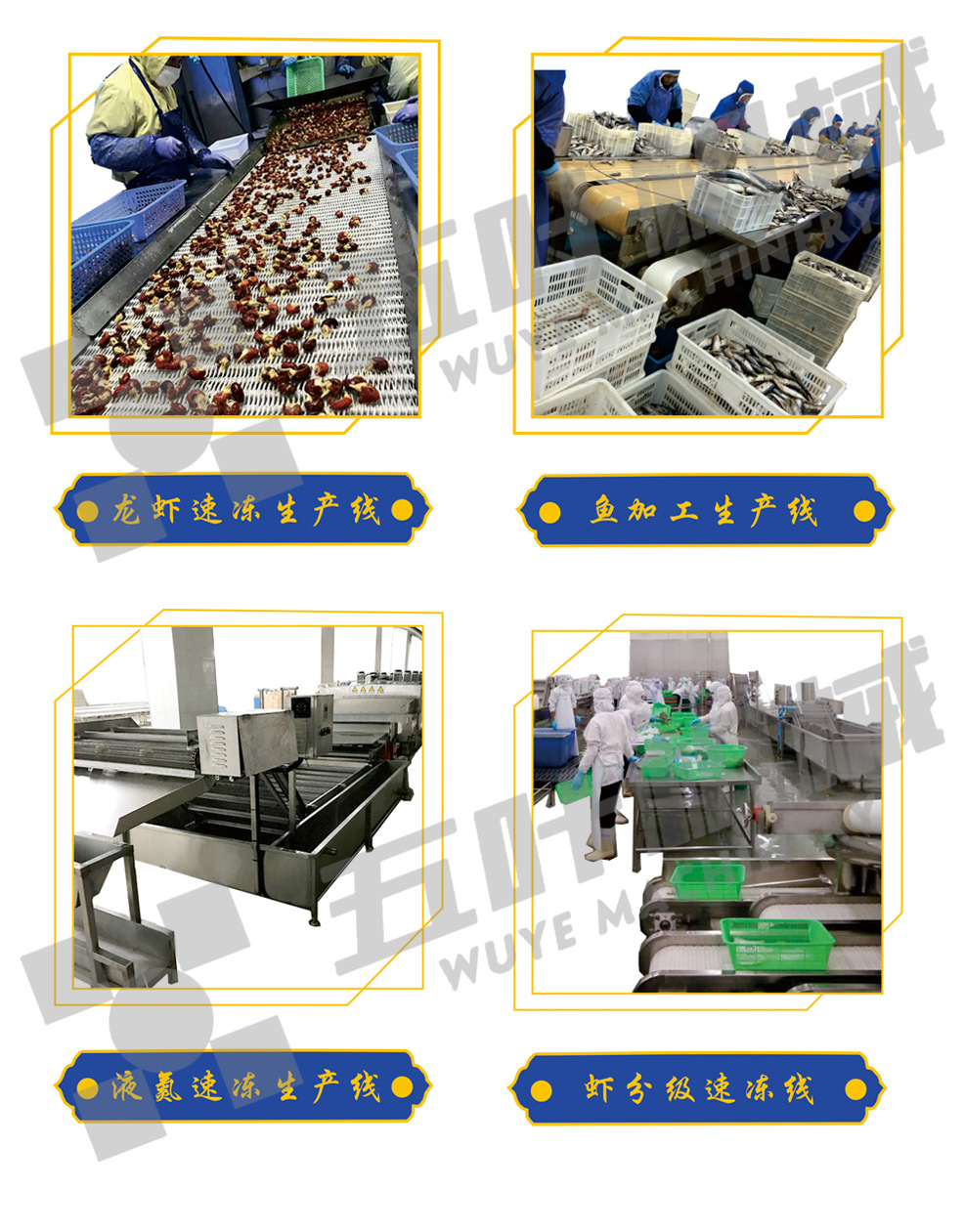 水產(chǎn)生產(chǎn)線水印6.jpg