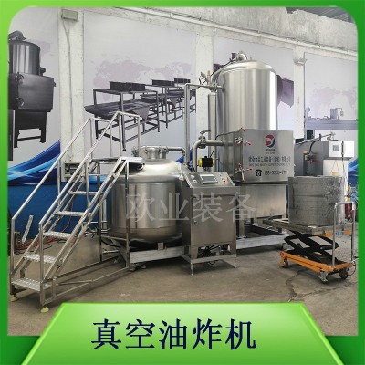 油炸果蔬脆片機(jī)器 低溫真空油炸機(jī) 小型 大型都可定做 廠家直供