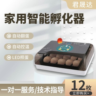 12枚小型家用孵化器小雞苗孵化箱 雞蛋孵化機(jī)家禽孵化養(yǎng)殖設(shè)備