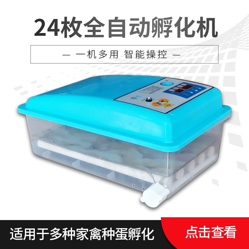 廠家代發(fā)24枚自動(dòng)迷你孵化機(jī)智能家用小型孵化設(shè)備egg incubator