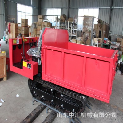 全地形液壓運(yùn)輸車 液壓馬達(dá)履帶底盤行走 現(xiàn)貨水旱兩用運(yùn)輸車