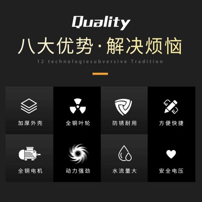 電動(dòng)車戶外農(nóng)用澆灌菜水井抽水泵12V24V48V大流量直流自吸泵