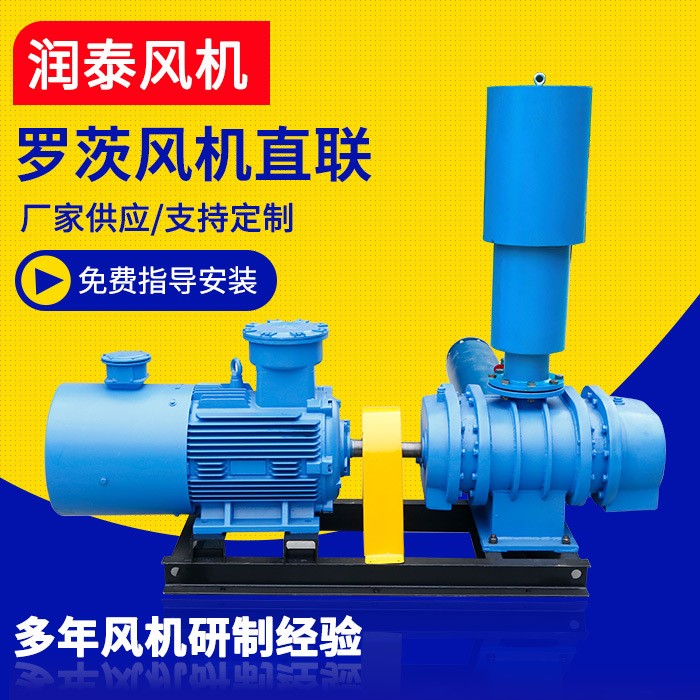 廠家供應(yīng) 羅茨鼓風機 直聯(lián)三葉羅茨鼓風機三葉羅茨風機 支持定制