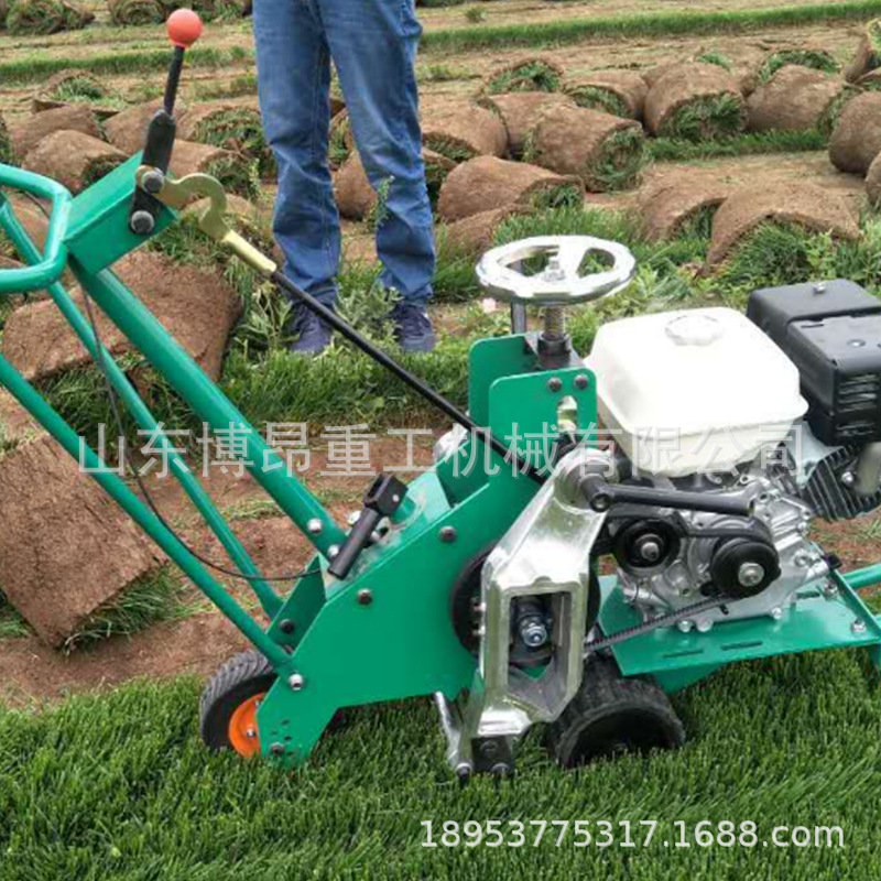 1A起草皮機(jī) (9).jpg