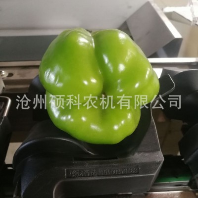 青椒分選機彩椒分級機菜椒分級機篩選機分揀機
