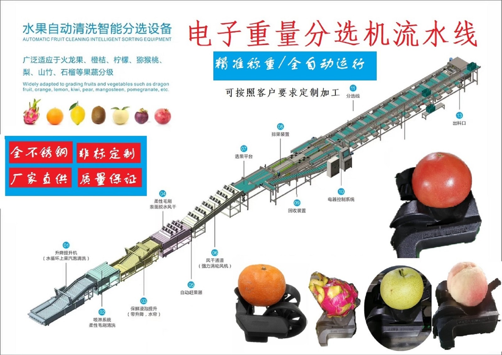 電子智能稱重芒果分選機(jī)芒果分級(jí)機(jī)分揀機(jī)克重分選機(jī)