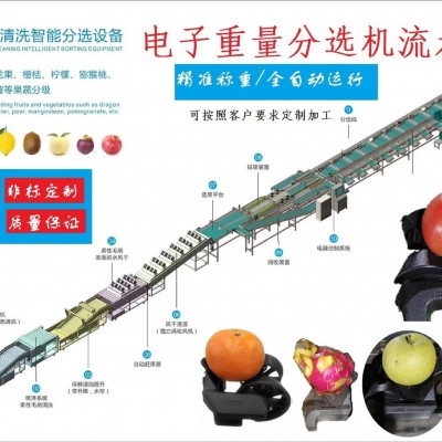 電子智能稱重芒果分選機芒果分級機分揀機克重分選機