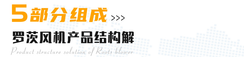 羅茨鼓風(fēng)機4_06.jpg