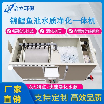 錦鯉魚池過濾器自動清洗池塘水循環(huán)凈化大型一體戶外魚池過濾系統(tǒng)