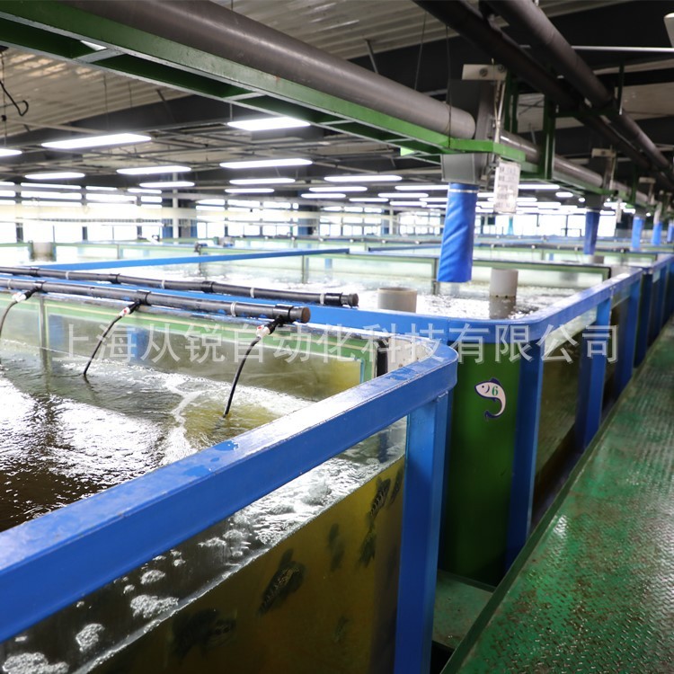 從銳新設(shè)計(jì)小型室內(nèi)垂釣蝦循環(huán)水恒溫增氧水處理在線管理系統(tǒng)設(shè)備