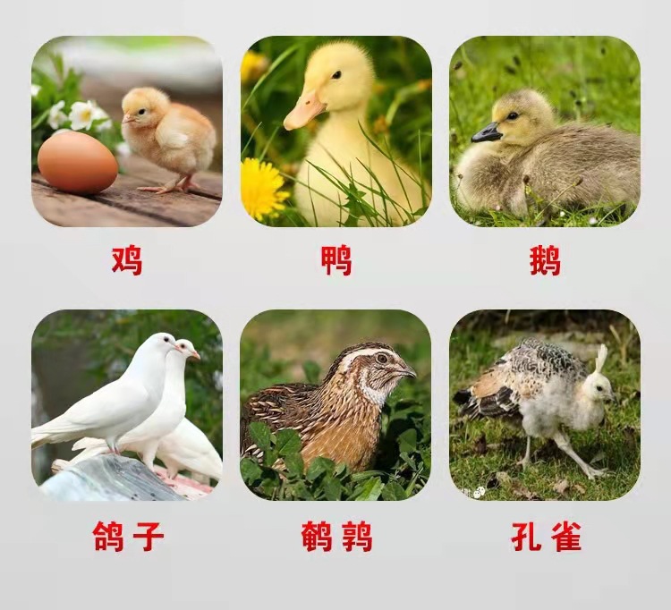 微信圖片_20211127120128