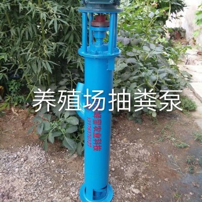 補(bǔ)貼500元 380v養(yǎng)雞場雞糞專用抽糞泵 化糞池清理排污設(shè)備