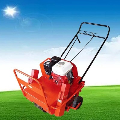 草坪果園松土機 草坪養(yǎng)護打孔機 手推式小型草地挖孔機