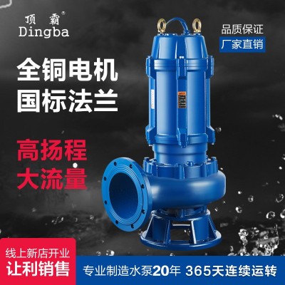 廠家供應(yīng)立式潛水泵220V380V工程處理污水泵無(wú)堵塞工業(yè)排污離心泵