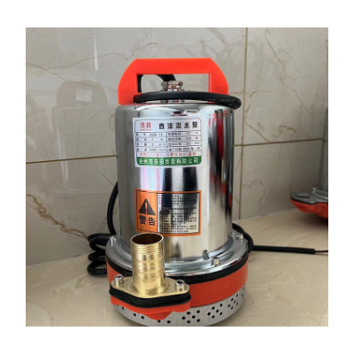 浩沺廠家直銷直流潛水泵12V伏電瓶車水泵電動車抽水泵農(nóng)用抽水機(jī)