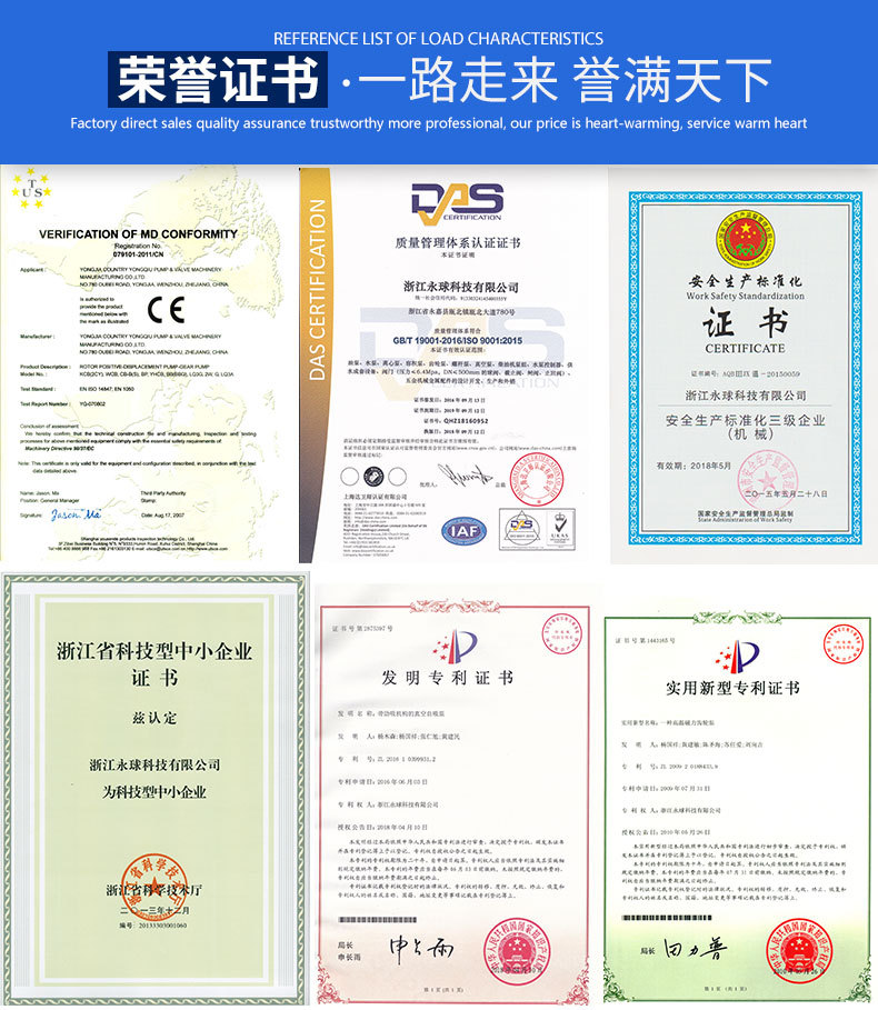 LQ3A轉(zhuǎn)子泵-榮譽(yù)證書(shū).jpg