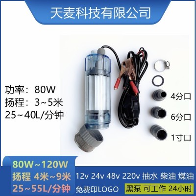 天麥12伏直流潛水泵1寸農(nóng)用抽水機車載24伏電動抽水泵12v小型水泵
