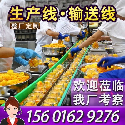 柔性鏈板輸送機(jī)丹東水果罐頭生產(chǎn)線傳送帶設(shè)備爆款黃桃分揀輸送線